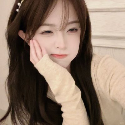 爱猫之城